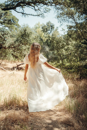 Simone Chiffon Dress
