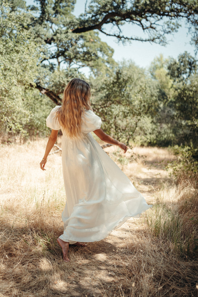 Simone Chiffon Dress