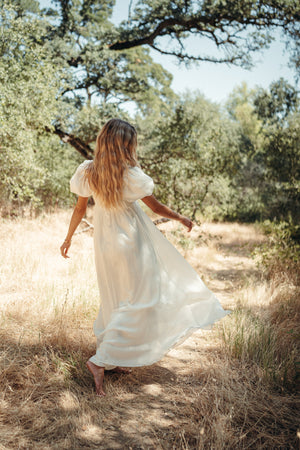 Simone Chiffon Dress