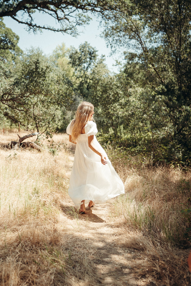 Simone Chiffon Dress