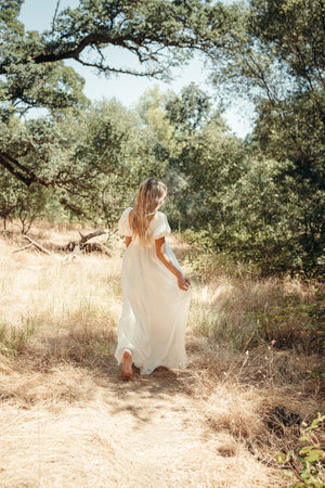 Simone Chiffon Dress