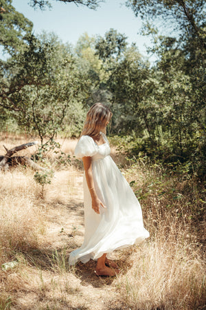 Simone Chiffon Dress
