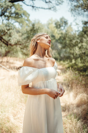 Simone Chiffon Dress