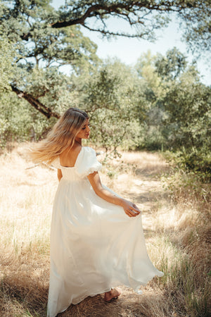 Simone Chiffon Dress