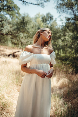 Simone Chiffon Dress