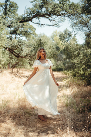 Simone Chiffon Dress