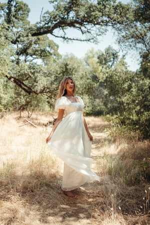Simone Chiffon Dress