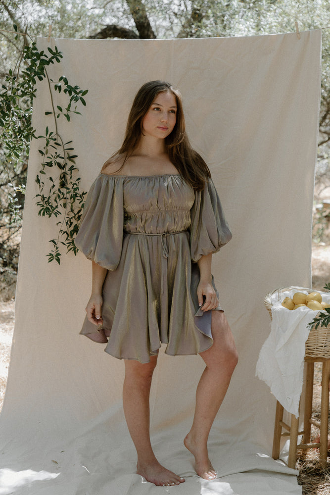 Tiffany Metallic Dress