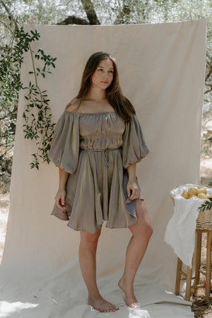 Tiffany Metallic Dress