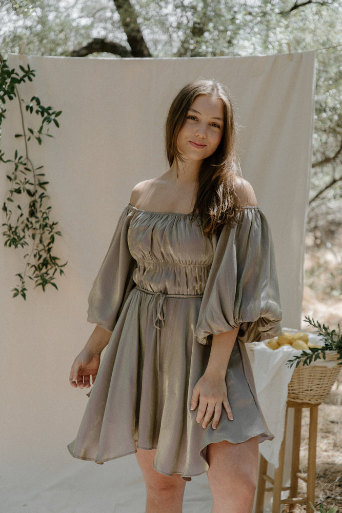Tiffany Metallic Dress
