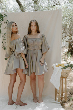 Tiffany Metallic Dress