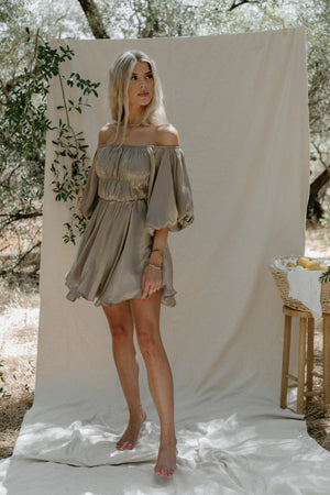Tiffany Metallic Dress