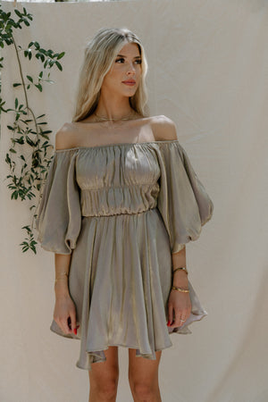 Tiffany Metallic Dress