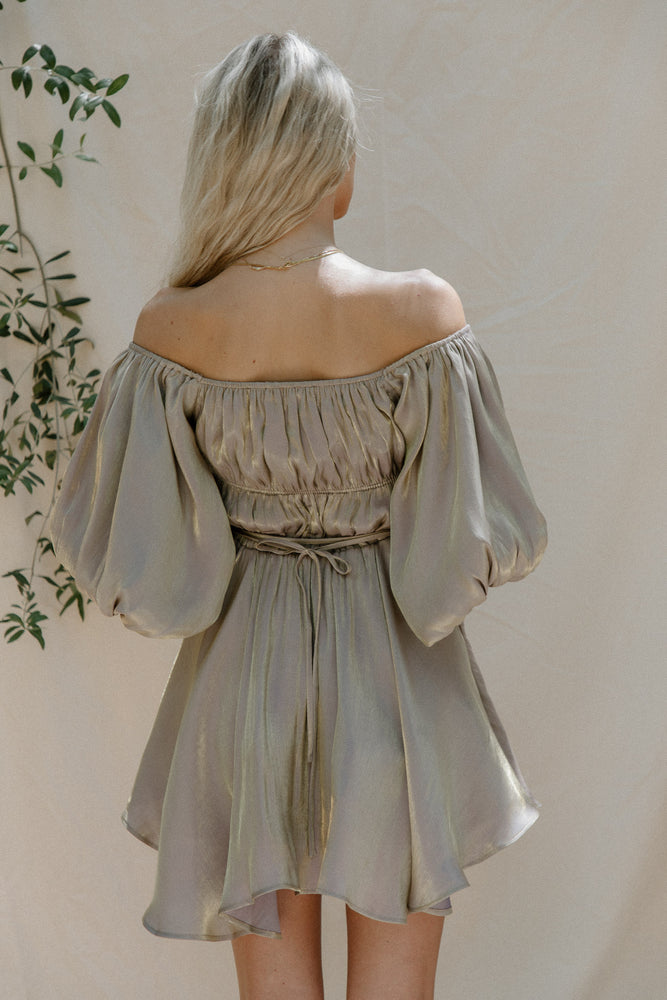Tiffany Metallic Dress