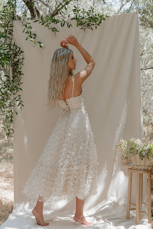 Venice Butterfly Dress