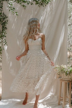 Venice Butterfly Dress