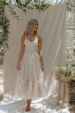 Venice Butterfly Dress