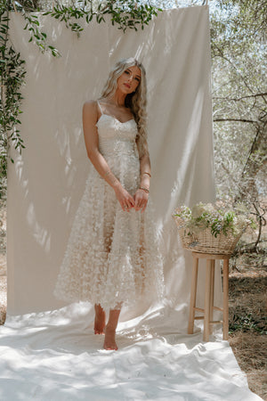 Venice Butterfly Dress