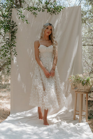 Venice Butterfly Dress